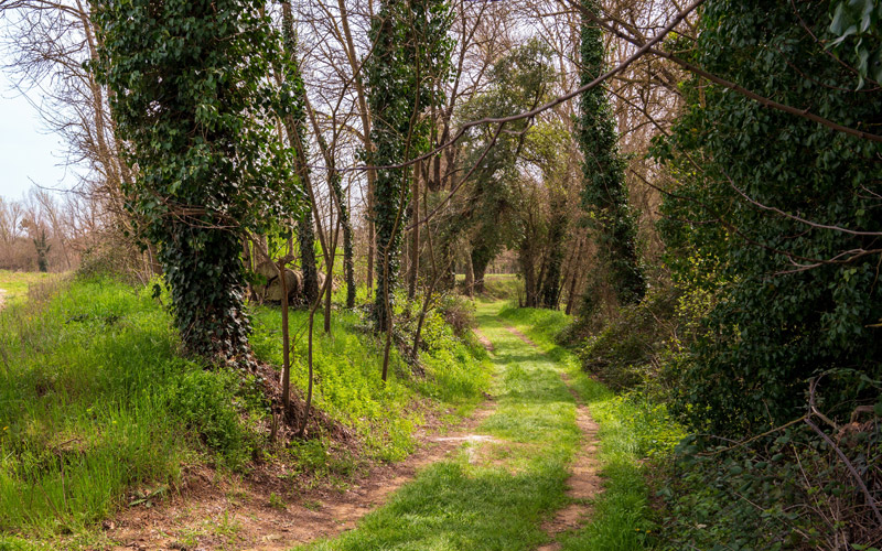 Gateway to Gavarres massif