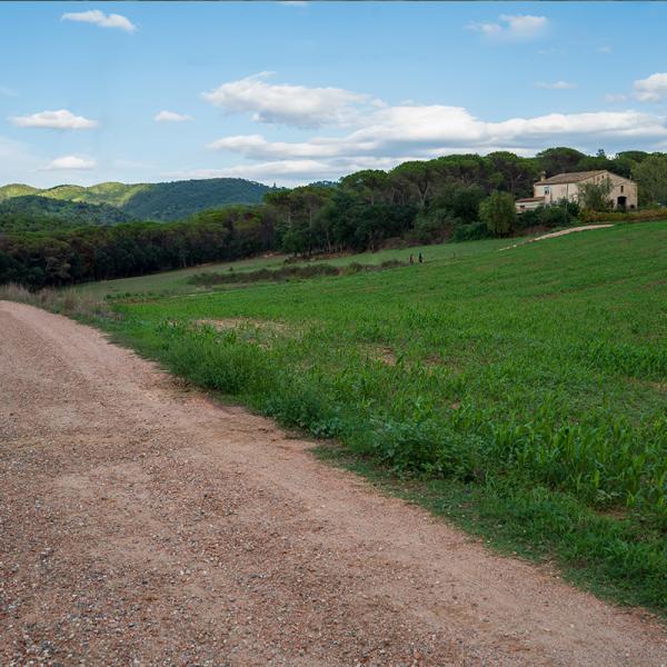 Itinéraire à travers les plaines de Matamala