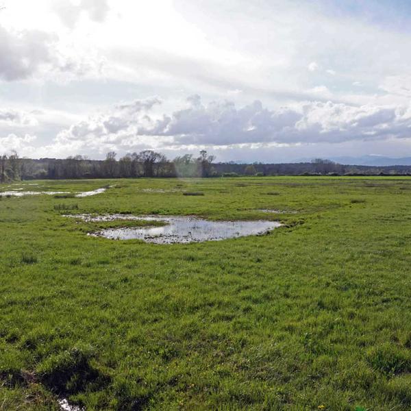 Itinéraire circulaire à travers la plaine de Cassà