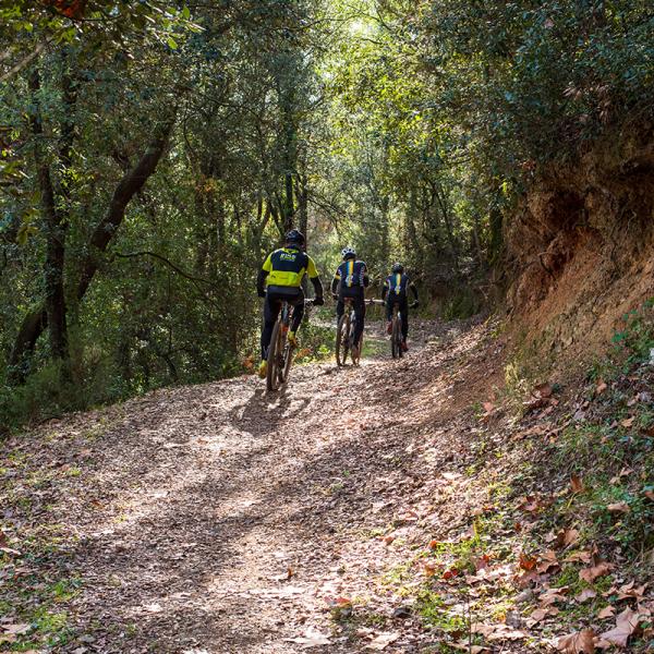 Route through the heart of Les Gavarres of Cassà